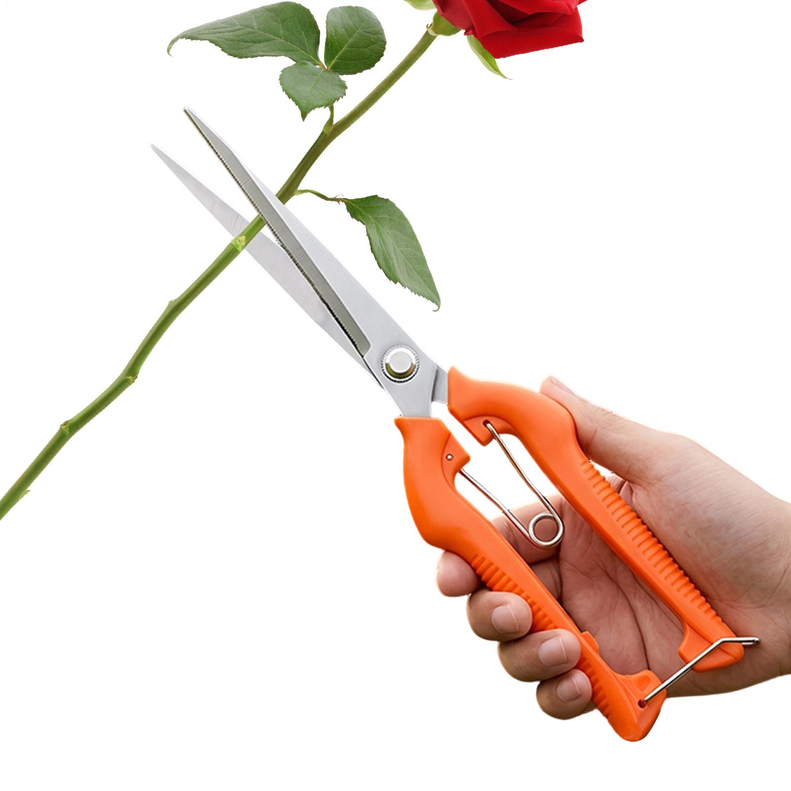 Gardening Tools Women - Tesoura de Poda Profissional em Aço