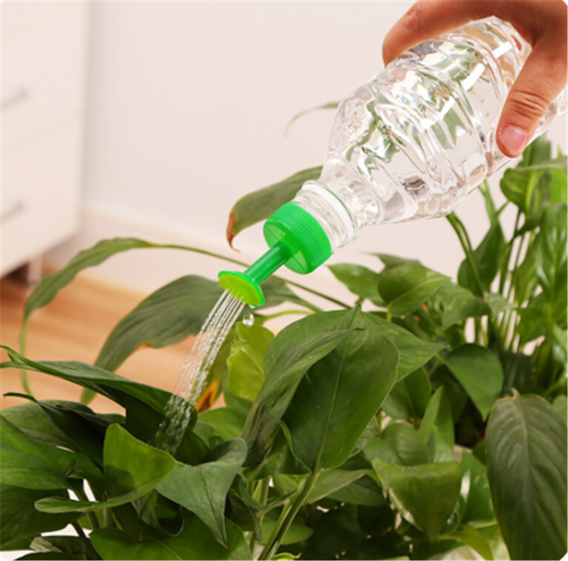 Gardening Tools For Sale - Latas de água de plantas de