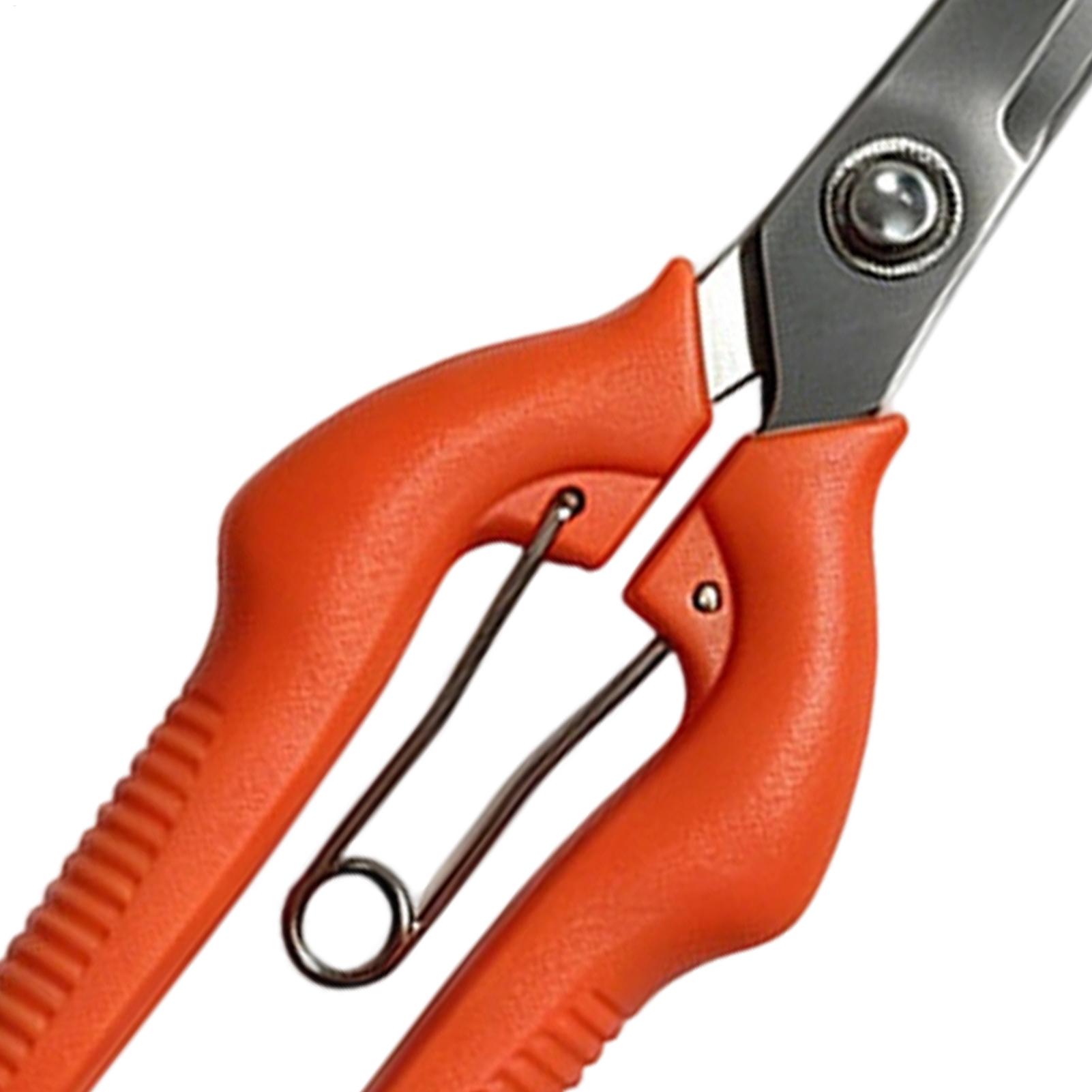 Tesoura de Poda Profissional e - Gardening Tools Women avaliação e preço