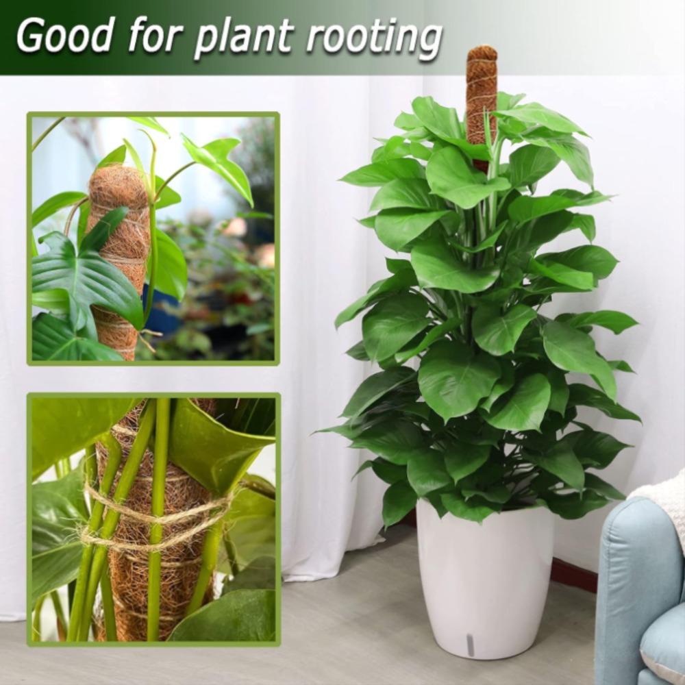 30-100cm plantas dobráveis sup - Gardening Tools Kids avaliação e preço