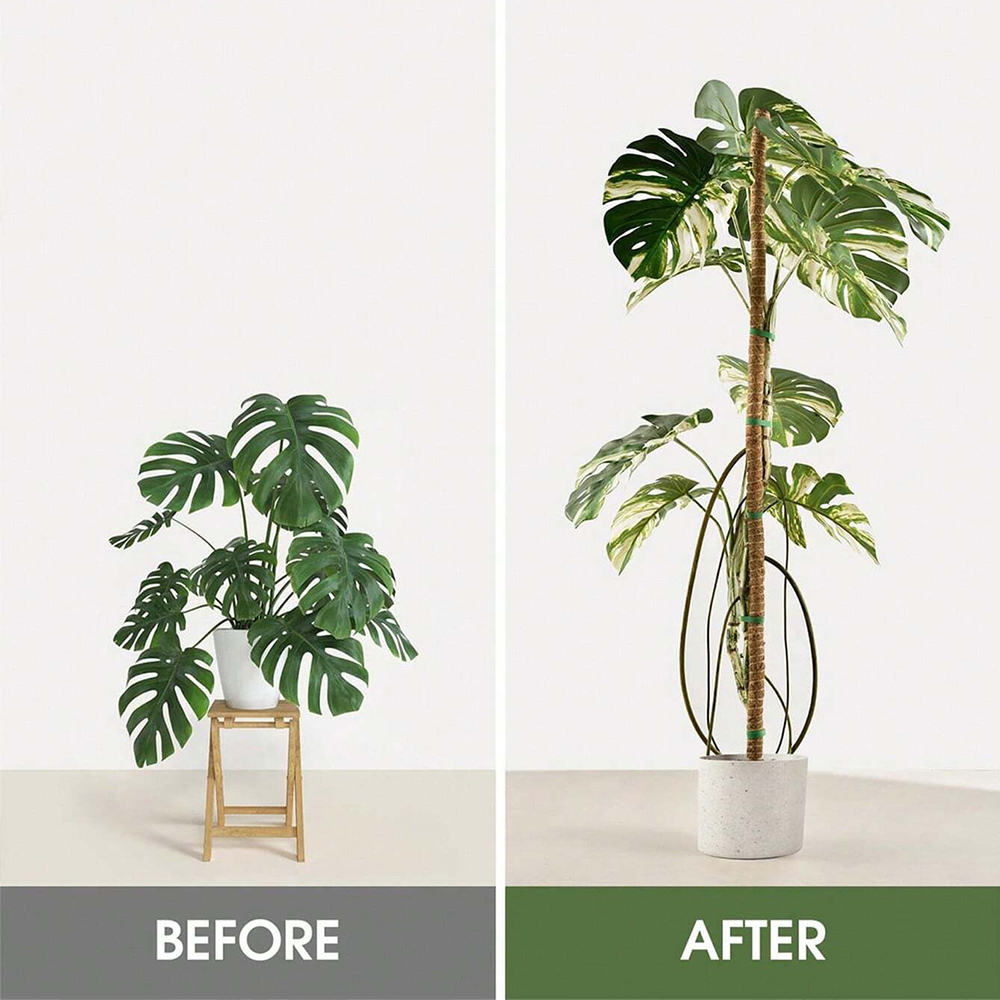 Suporte para Plantas Moss Pole - Gardening Tools Kids avaliação e preço