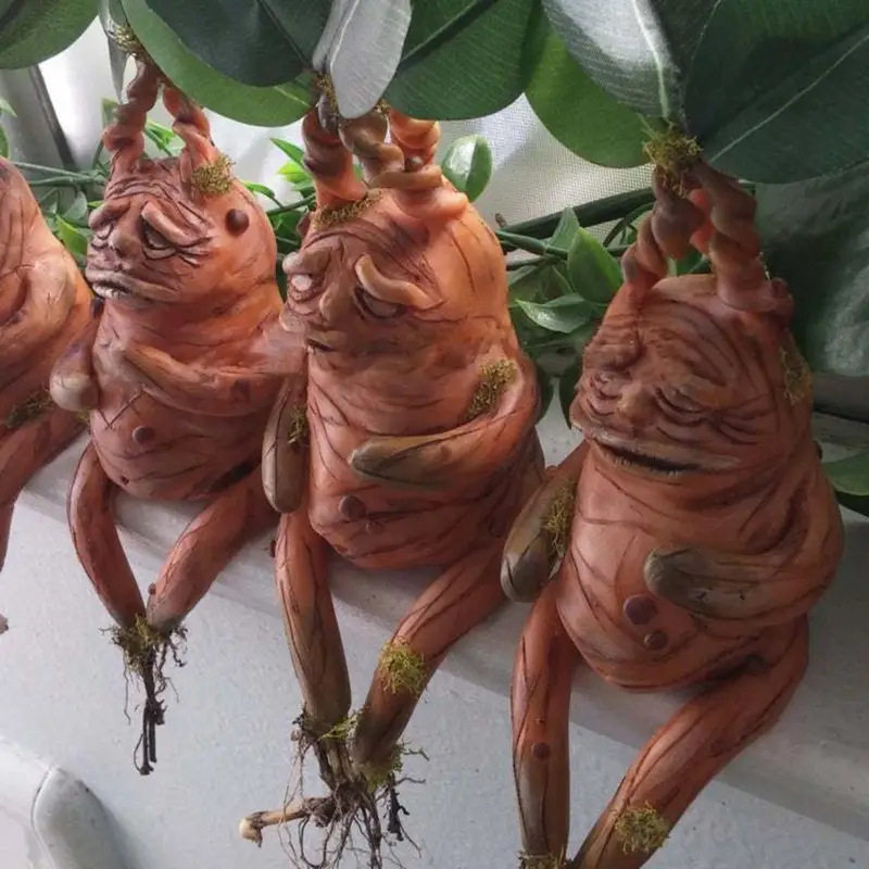 Ornamento de Resina Mandrake p - Gardening Tools Amazon avaliação e preço