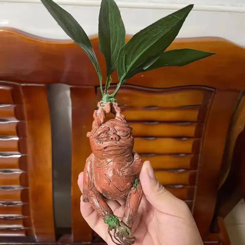 Ornamento de Resina Mandrake p - Gardening Tools Amazon avaliação e preço