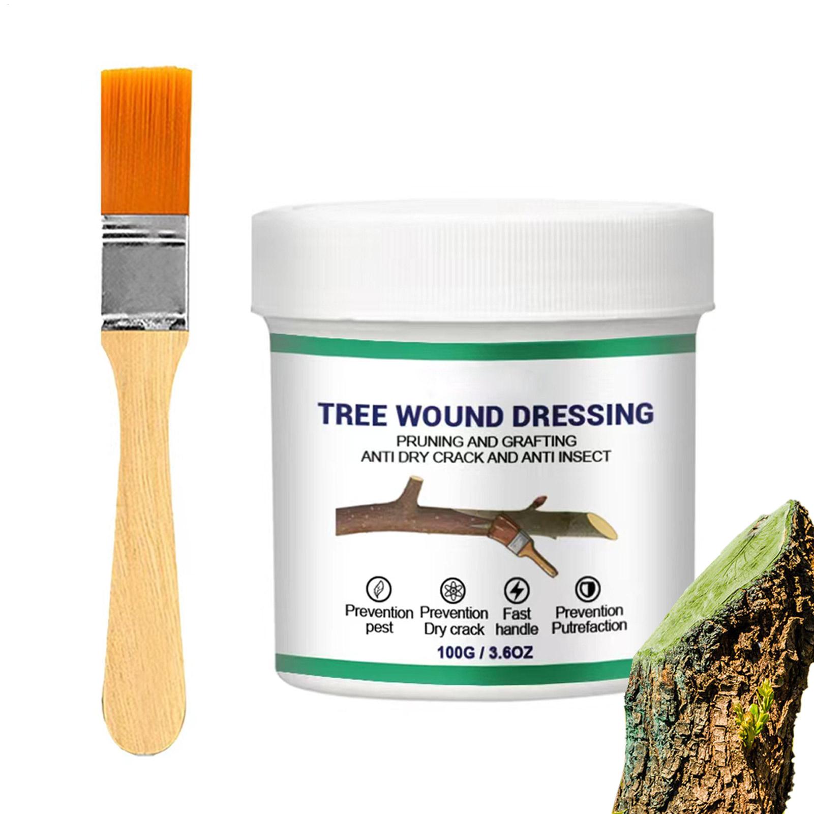 Pasta para Enxertia de Árvores - Gardening Tools Women avaliação e preço