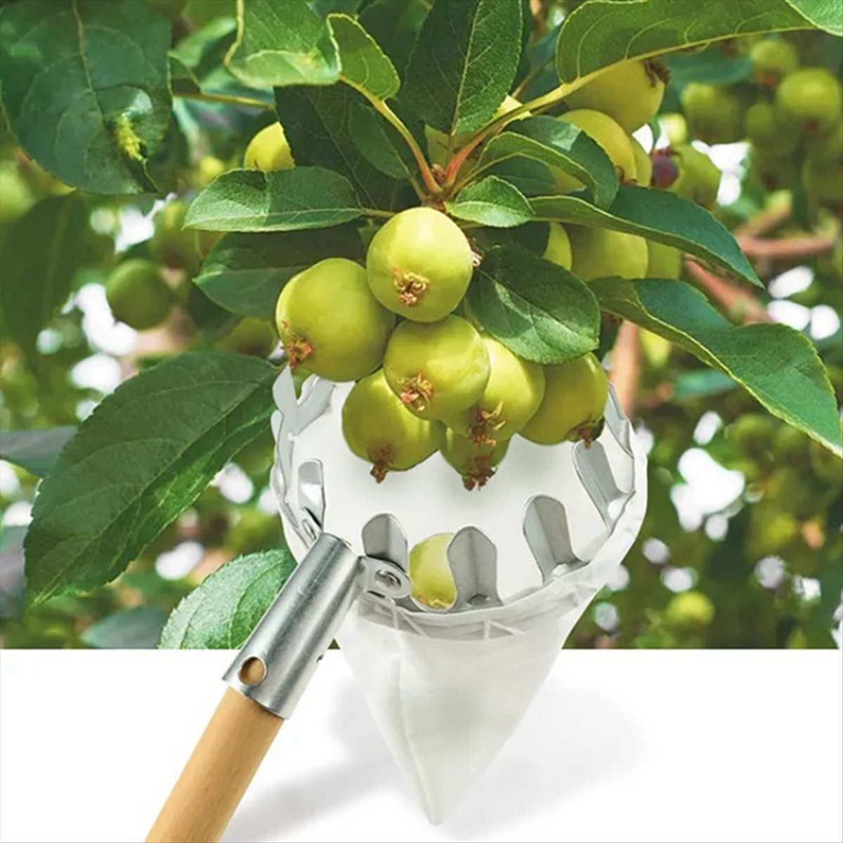 【Liquidação】Apanhador de Fruta - Gardening Tools For Sale avaliação e preço